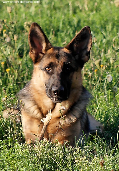 Vénétie Du domaine du parc