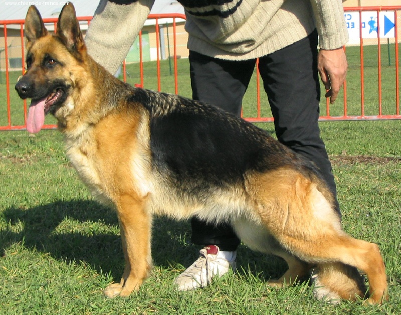 Pépite Du val du meffrey